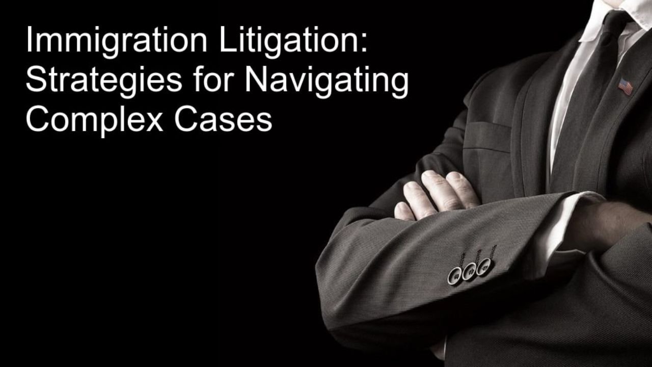 Immigration Effects and Litigation Queries: